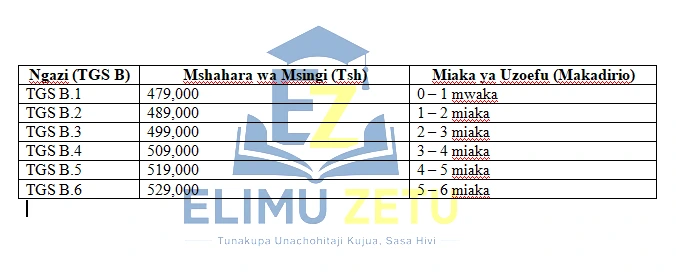 tgs b