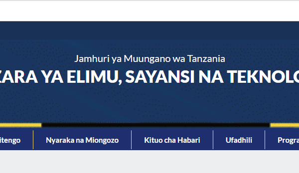 vyuo vya kati vya serikali